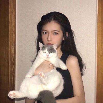 圣光之战手游下载